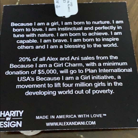 NWT Alex and Ani + Energy Expandable Bangle - Picture 5 of 6